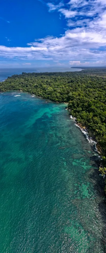 Rainforest meeting the sea
