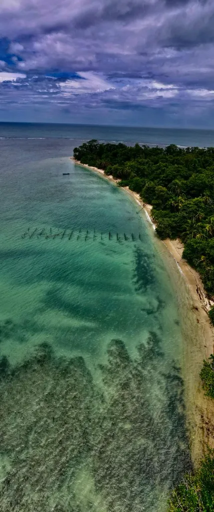 Tropical shoreline