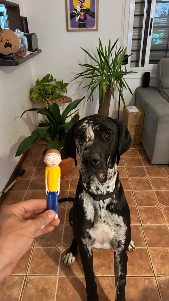 Morty